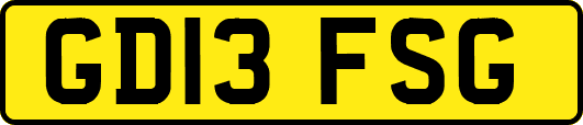 GD13FSG