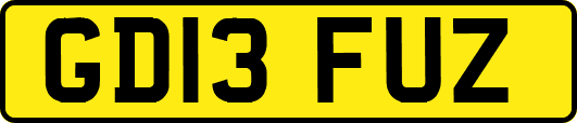 GD13FUZ