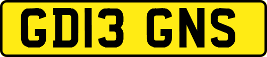 GD13GNS