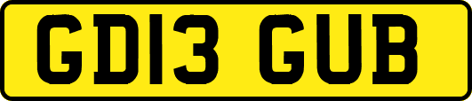 GD13GUB