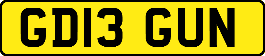 GD13GUN