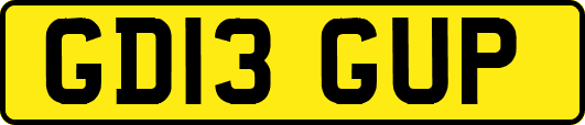 GD13GUP