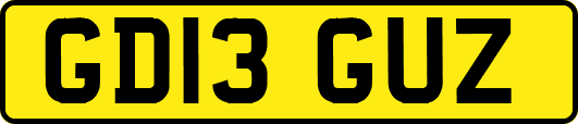 GD13GUZ
