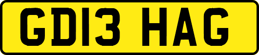 GD13HAG