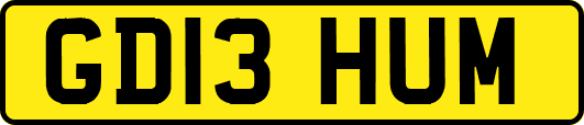 GD13HUM