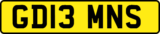 GD13MNS