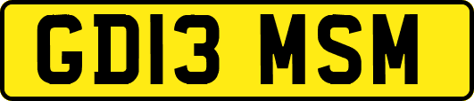 GD13MSM