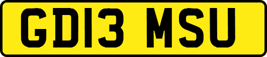 GD13MSU