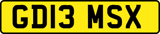 GD13MSX