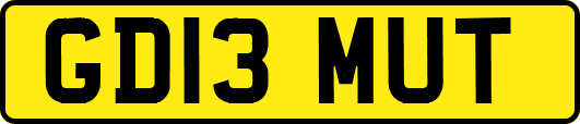 GD13MUT