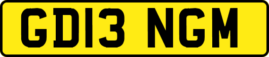 GD13NGM