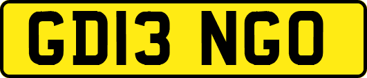 GD13NGO