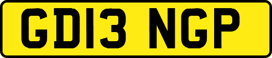 GD13NGP