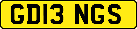 GD13NGS