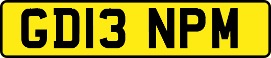 GD13NPM