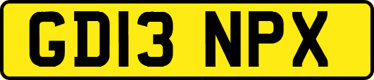 GD13NPX
