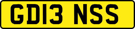GD13NSS