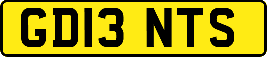 GD13NTS