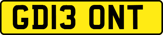 GD13ONT