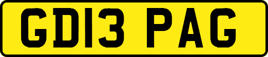GD13PAG