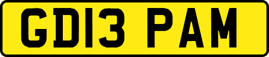 GD13PAM