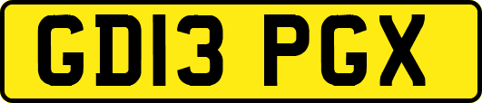 GD13PGX