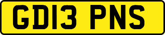 GD13PNS