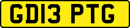 GD13PTG