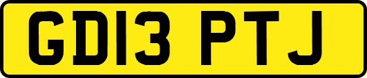 GD13PTJ
