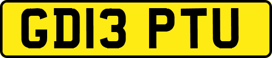 GD13PTU