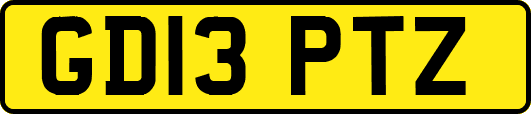 GD13PTZ