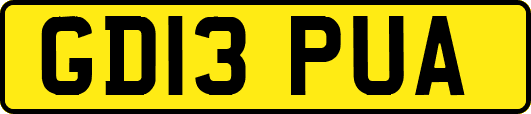 GD13PUA