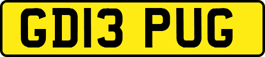 GD13PUG