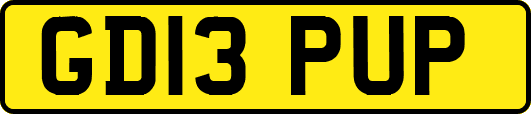 GD13PUP