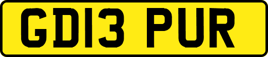 GD13PUR