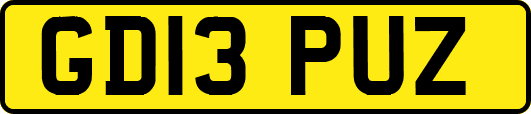 GD13PUZ