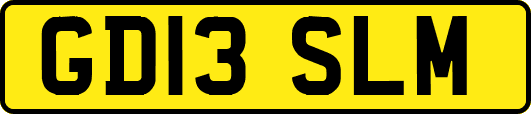 GD13SLM