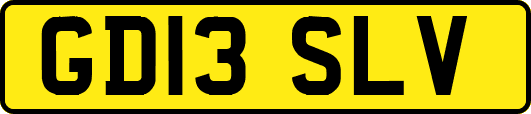 GD13SLV