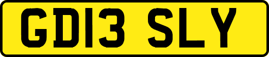 GD13SLY