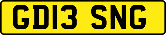 GD13SNG