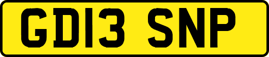 GD13SNP