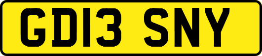 GD13SNY