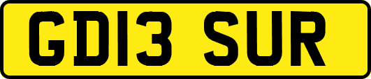 GD13SUR