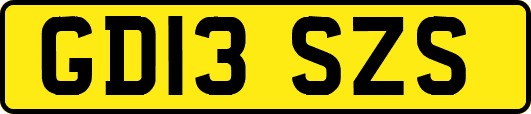 GD13SZS