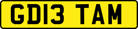GD13TAM
