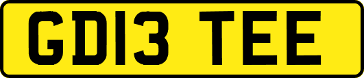 GD13TEE