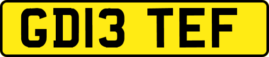 GD13TEF