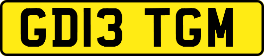 GD13TGM