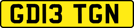 GD13TGN