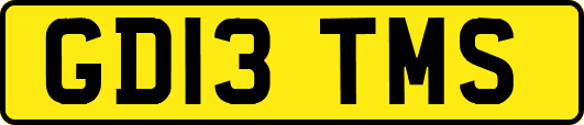 GD13TMS